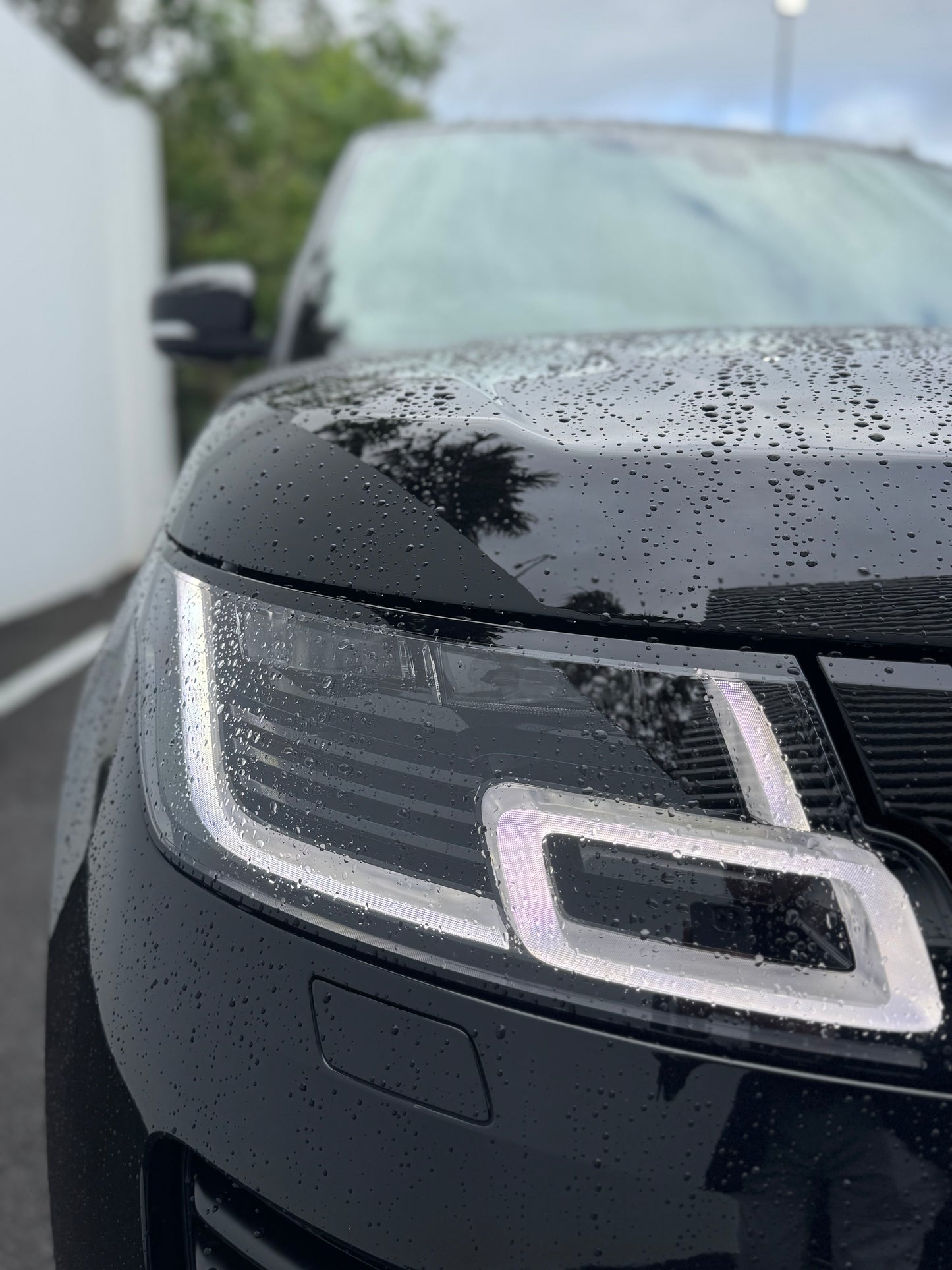 2019 RANGE ROVER RANGE ROVER VOGUE SE SDV8 (250kW) LG MY19