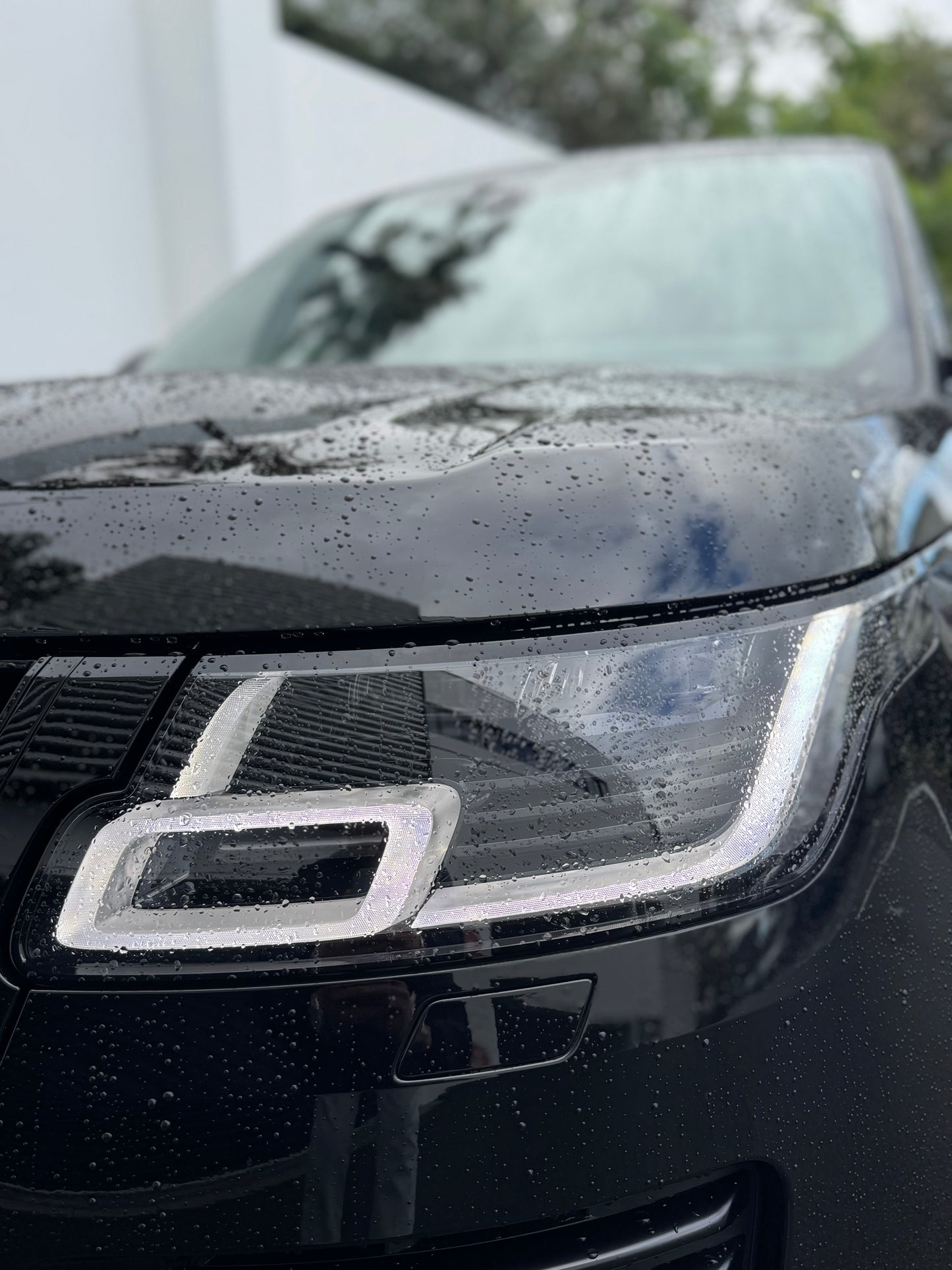 2019 RANGE ROVER RANGE ROVER VOGUE SE SDV8 (250kW) LG MY19